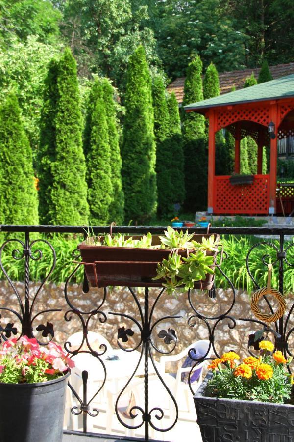 Downtown Green Oasis Apartments SJJ Buitenkant foto